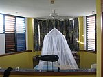 IMG_0428.jpg