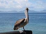 IMG_0486.jpg