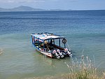 IMG_0487.jpg