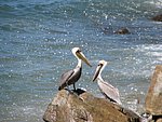 IMG_0490.jpg
