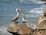 IMG_0492.jpg